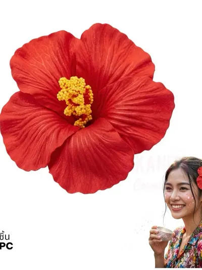 กิ้บดอกชบา 4