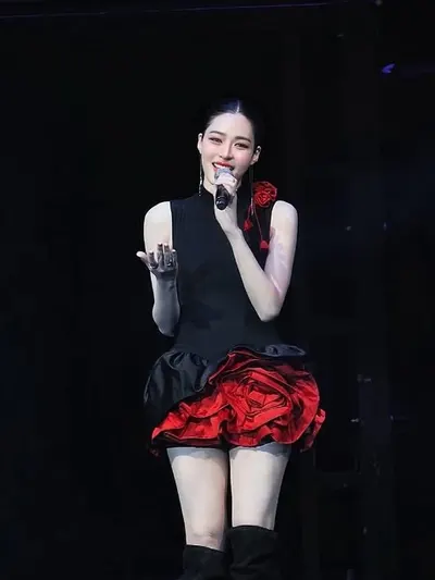 Rose Dress 7