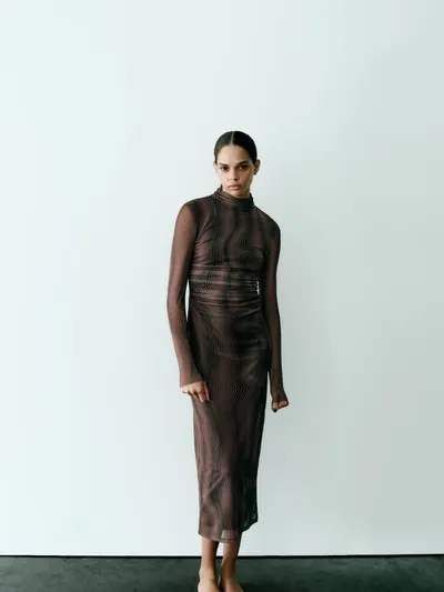 Brown Early Spring Dress 3