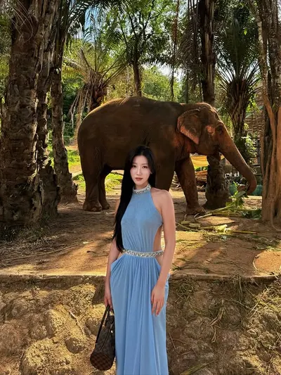เดรส 8